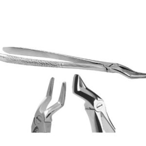 High short rooting forceps