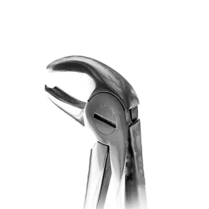 انواع فورسپس دندانپزشکی و کاربردهای آن